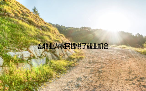 畜牧业为农民提供了就业机会