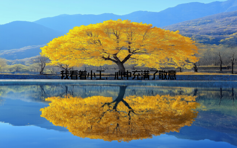 我看着小王, 心中充满了敬意