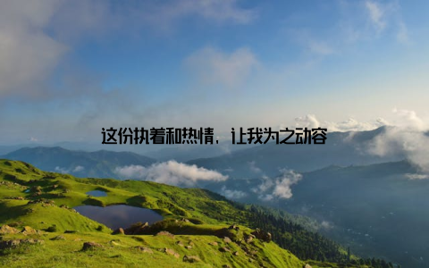 这份执着和热情, 让我为之动容