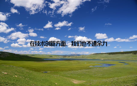 在技术创新方面, 我们也不遗余力