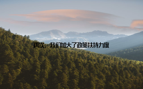 再次, 我们加大了政策扶持力度