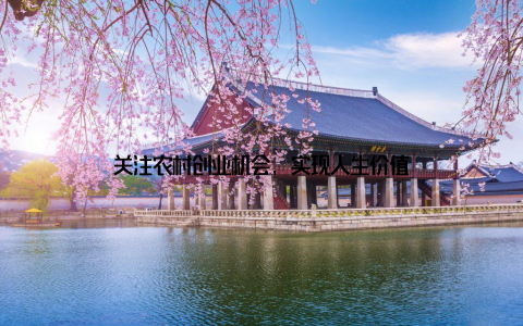 关注农村创业机会, 实现人生价值