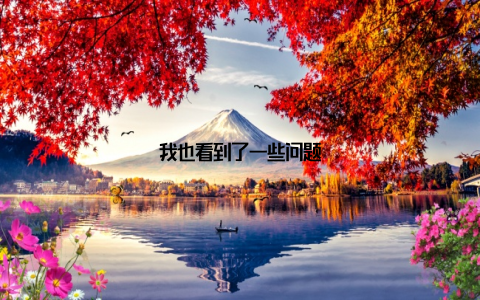 我也看到了一些问题