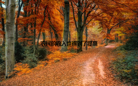 农民的收入也得到了提高