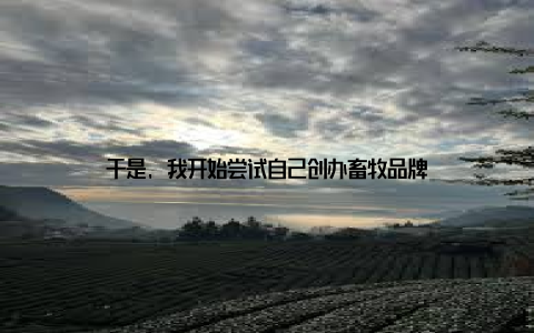 于是, 我开始尝试自己创办畜牧品牌