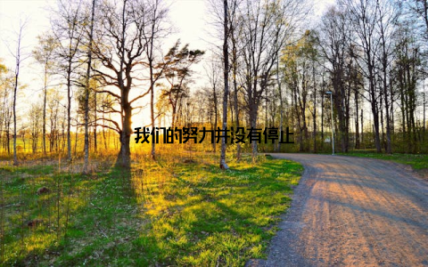 我们的努力并没有停止