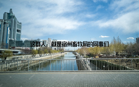 这群人, 就是宿州畜牧局的同事们