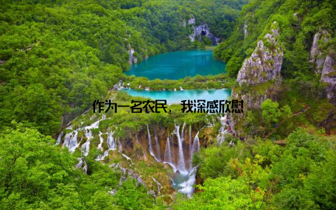 作为一名农民, 我深感欣慰