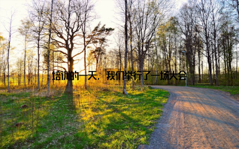 培训的一天, 我们举行了一场大会