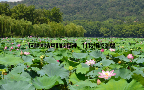 这种团结互助的精神, 让我倍感温馨