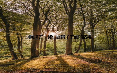 回顾过去, 我们取得了丰硕的成果