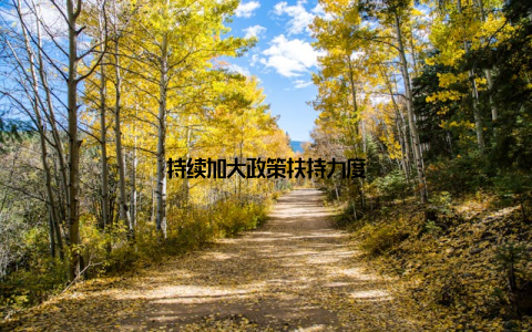 持续加大政策扶持力度