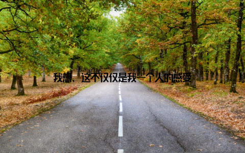 我想, 这不仅仅是我一个人的感受