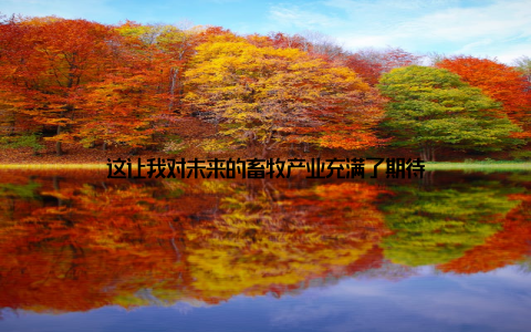 这让我对未来的畜牧产业充满了期待