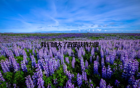 我们加大了政策扶持力度