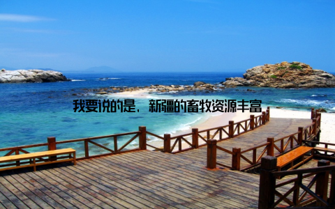 我要说的是, 新疆的畜牧资源丰富