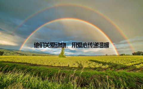 他们关爱动物, 用爱心传递温暖