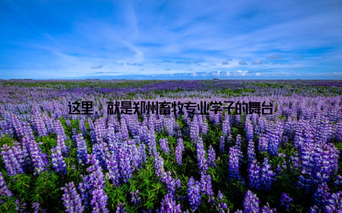 这里, 就是郑州畜牧专业学子的舞台