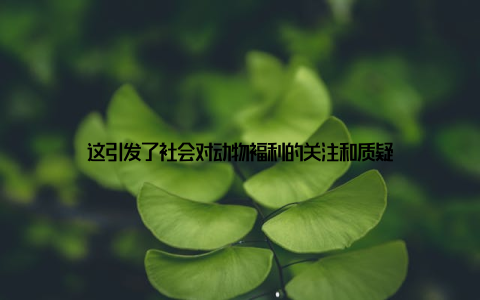 这引发了社会对动物福利的关注和质疑