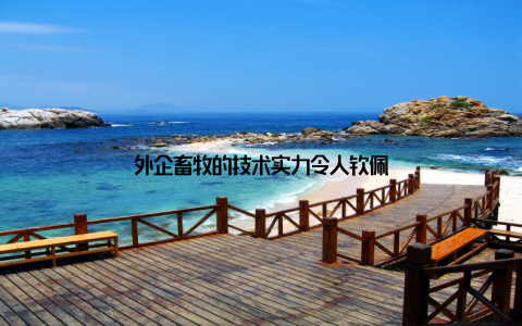 外企畜牧的技术实力令人钦佩