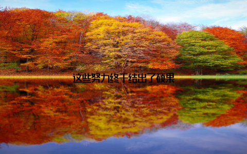 这些努力终于结出了硕果