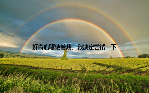 好奇心驱使着我, 我决定尝试一下