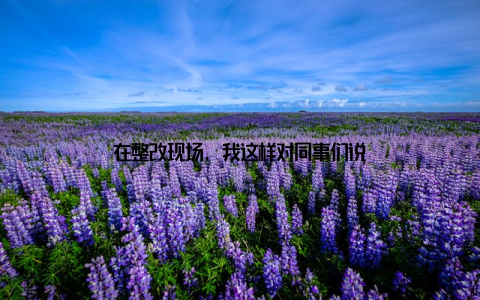 在整改现场, 我这样对同事们说