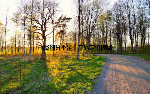 市场细分不足, 产品定位模糊