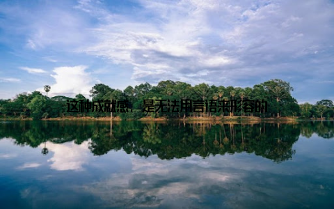 这种成就感, 是无法用言语来形容的