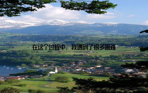 在这个过程中, 我遇到了很多困难