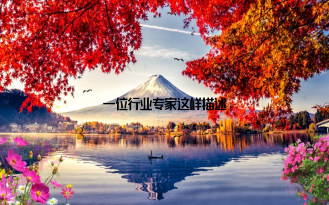 一位行业专家这样描述