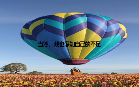 当然, 我也深知自己的不足