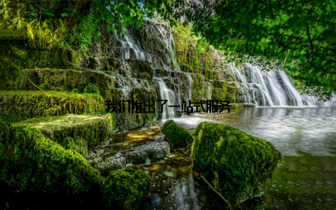 我们推出了一站式服务