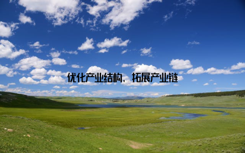 优化产业结构, 拓展产业链