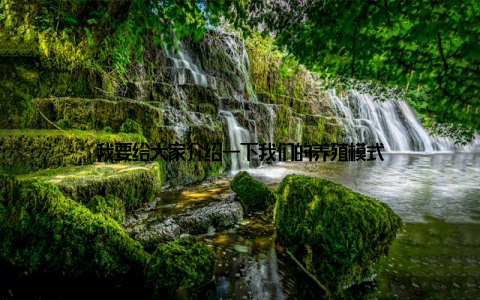 我要给大家介绍一下我们的养殖模式