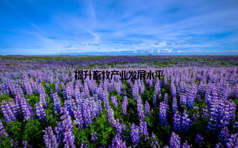 提升畜牧产业发展水平