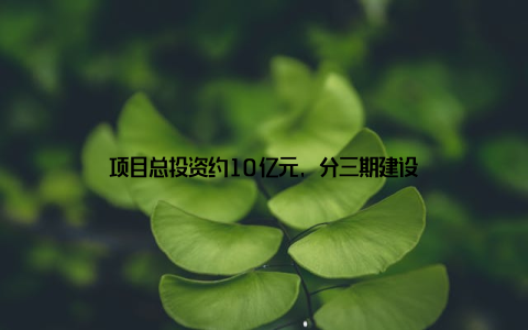 项目总投资约10亿元, 分三期建设