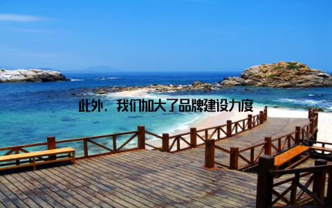 此外, 我们加大了品牌建设力度