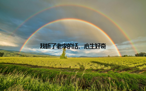 我听了老李的话, 心生好奇