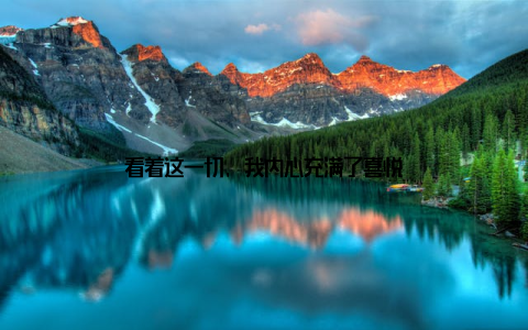 看着这一切, 我内心充满了喜悦