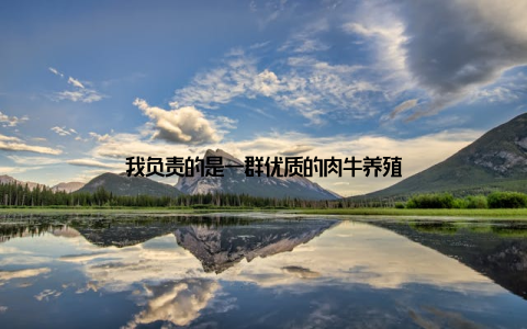 我负责的是一群优质的肉牛养殖