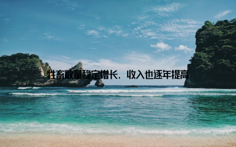 牲畜数量稳定增长, 收入也逐年提高