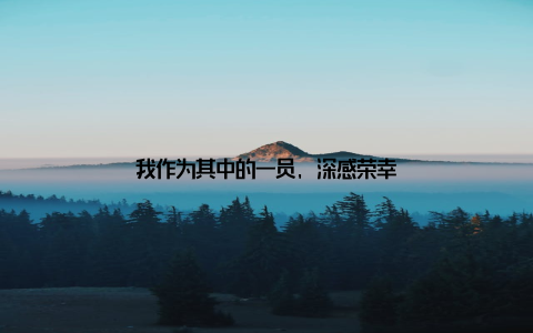 我作为其中的一员, 深感荣幸