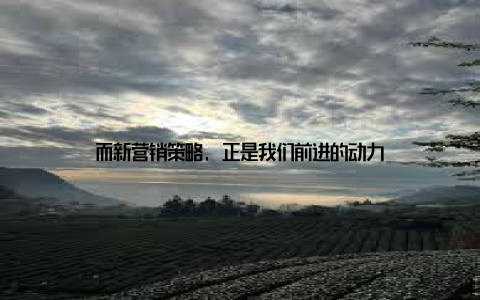 而新营销策略, 正是我们前进的动力