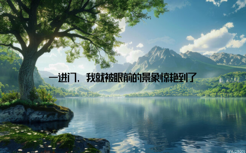 一进门, 我就被眼前的景象惊艳到了