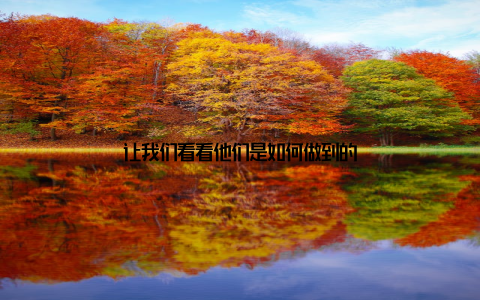 让我们看看他们是如何做到的