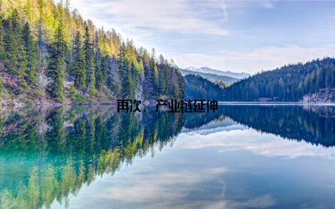 再次, 产业链延伸