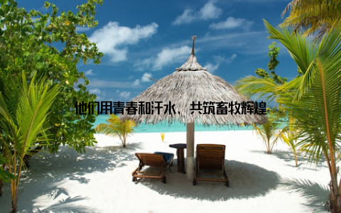 他们用青春和汗水, 共筑畜牧辉煌