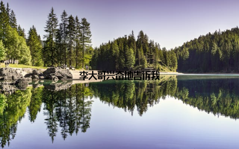 李大哥兴奋地告诉我