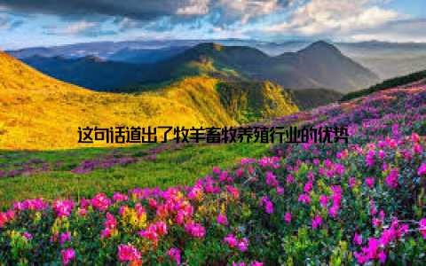 这句话道出了牧羊畜牧养殖行业的优势